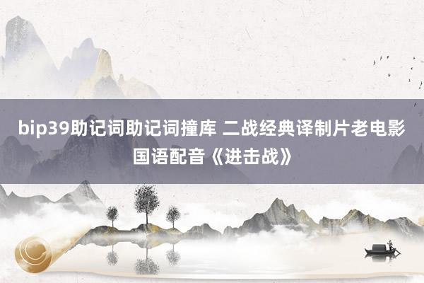 bip39助记词助记词撞库 二战经典译制片老电影国语配音《进击战》